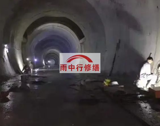 西青隧道堵漏方案（技术篇）